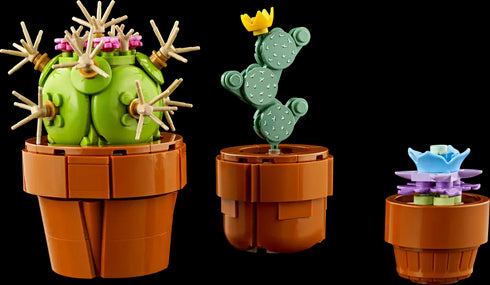 Mini plants 10329